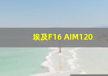 埃及F16 AIM120